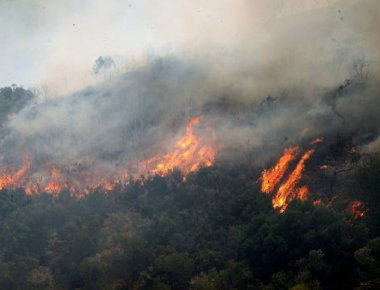 Σε εξέλιξη φωτιά στη Λακωνία - Δεν απειλεί κατοικημένες περιοχές